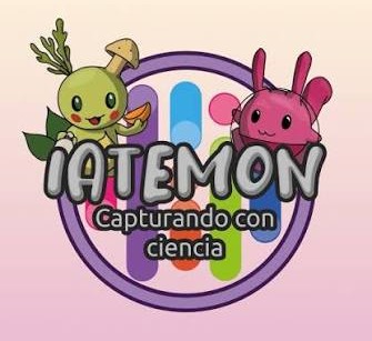 proyectos